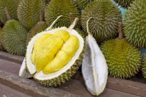 durian