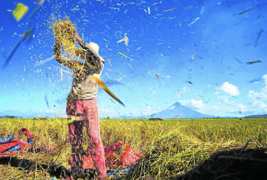 Mga magsasaka pwede pa ring kumuha ng ‘fertilizer discount vouchers’ hanggang Nov. 30