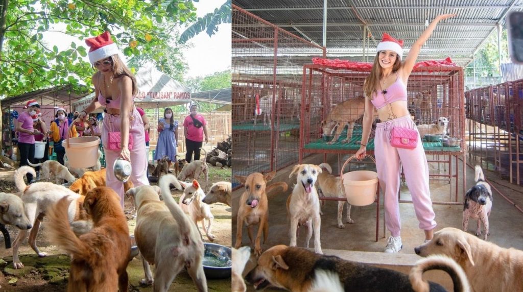 Kris Bernal naging ‘KriSanta’ para sa rescued animals, pet lovers saludo: ‘Good job!’