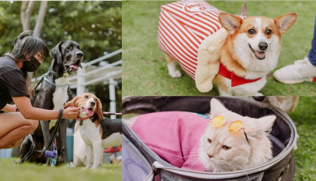 BGC may libreng ‘pet fair’, ilang fur babies rarampa sa April 22 to 23