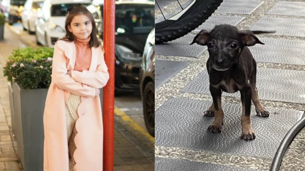 Scarlett Kramer nagligtas, nag-ampon ng aspin: Dogs don't deserve to be in the streets!