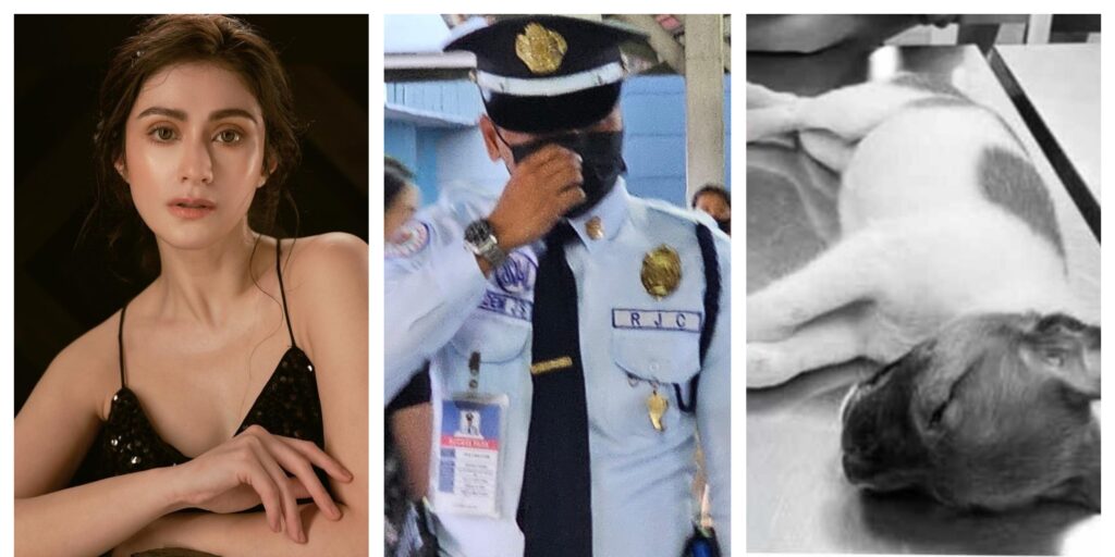 Carla Abellana galit na galit sa pagkamatay ng tuta na inihagis sa footbridge; gwardiya kakasuhan ng PAWS