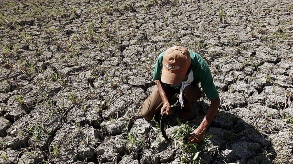 El Niño idineklara na sa bansa, magtatagal hanggang 2024 –PAGASA