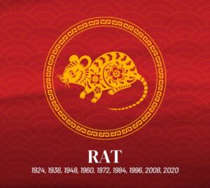 Year of the Rat