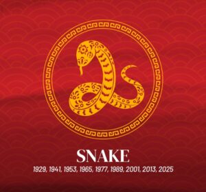 Year of the Snake