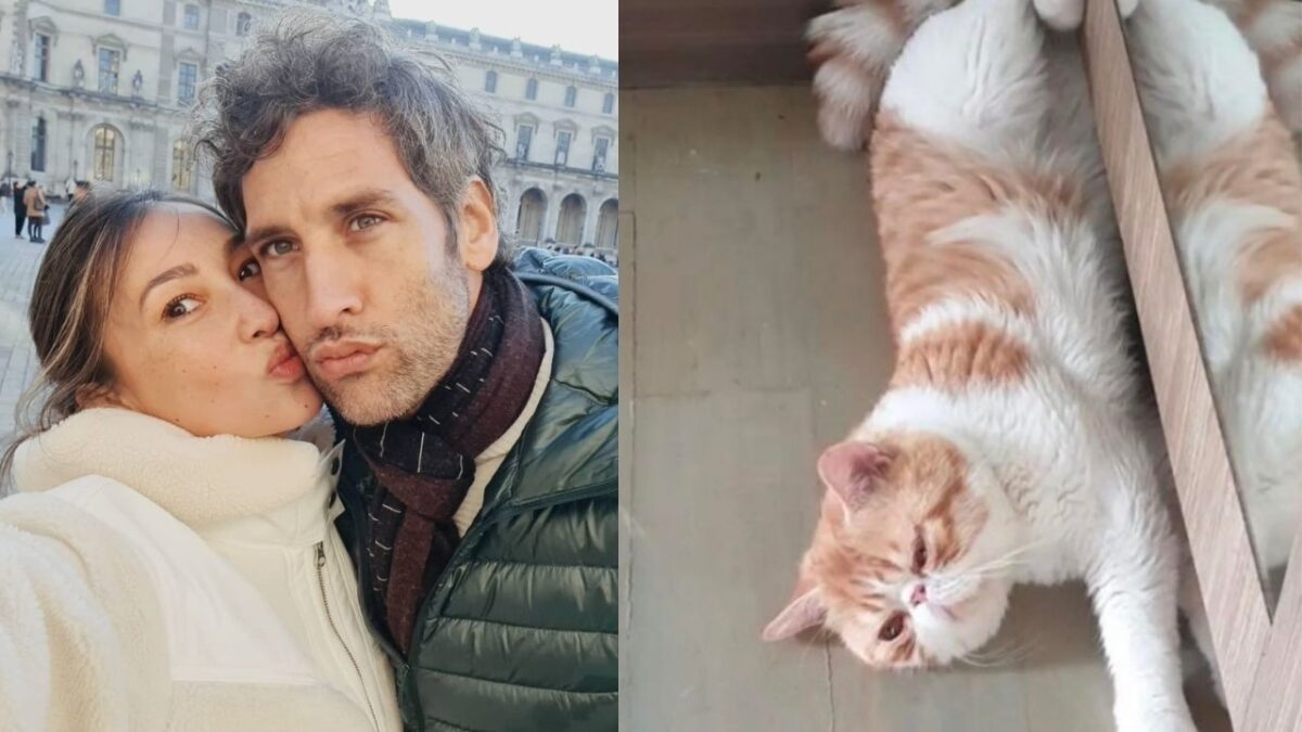 Nico Bolzico nawalan ng pag-asa, 2 linggo nang ‘missing’ ang pet cat 