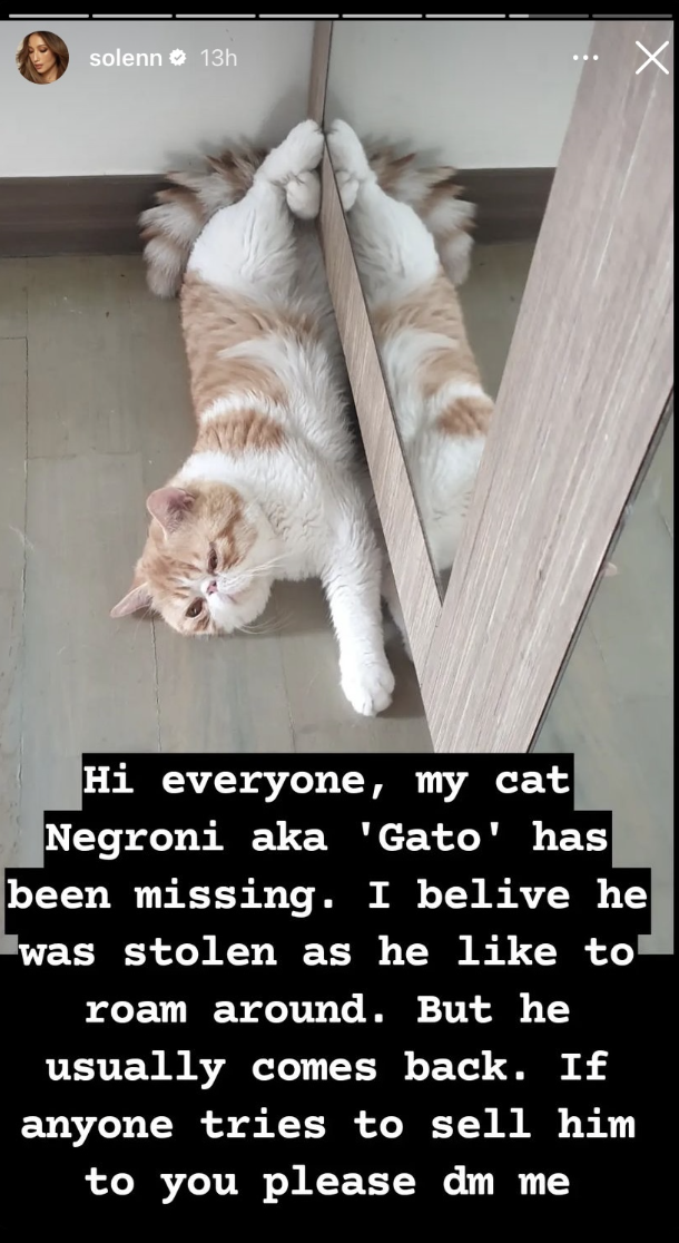 Solenn umapela ng tulong, nawala ang pet cat: 'I believe he was stolen'