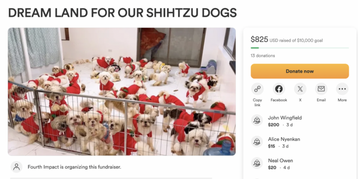 4th Impact may pa-fundraising para sa 200 dogs, netizens uminit ang ulo