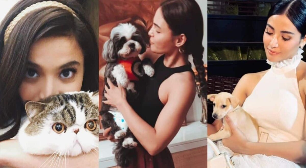 Netizens nagpugay sa kanilang fur babies sa Pet Remembrance Day 2024