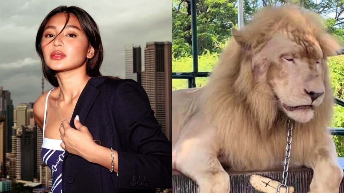 Nadine sa viral white lion na inaabuso sa zoo: It’s heartbreaking!