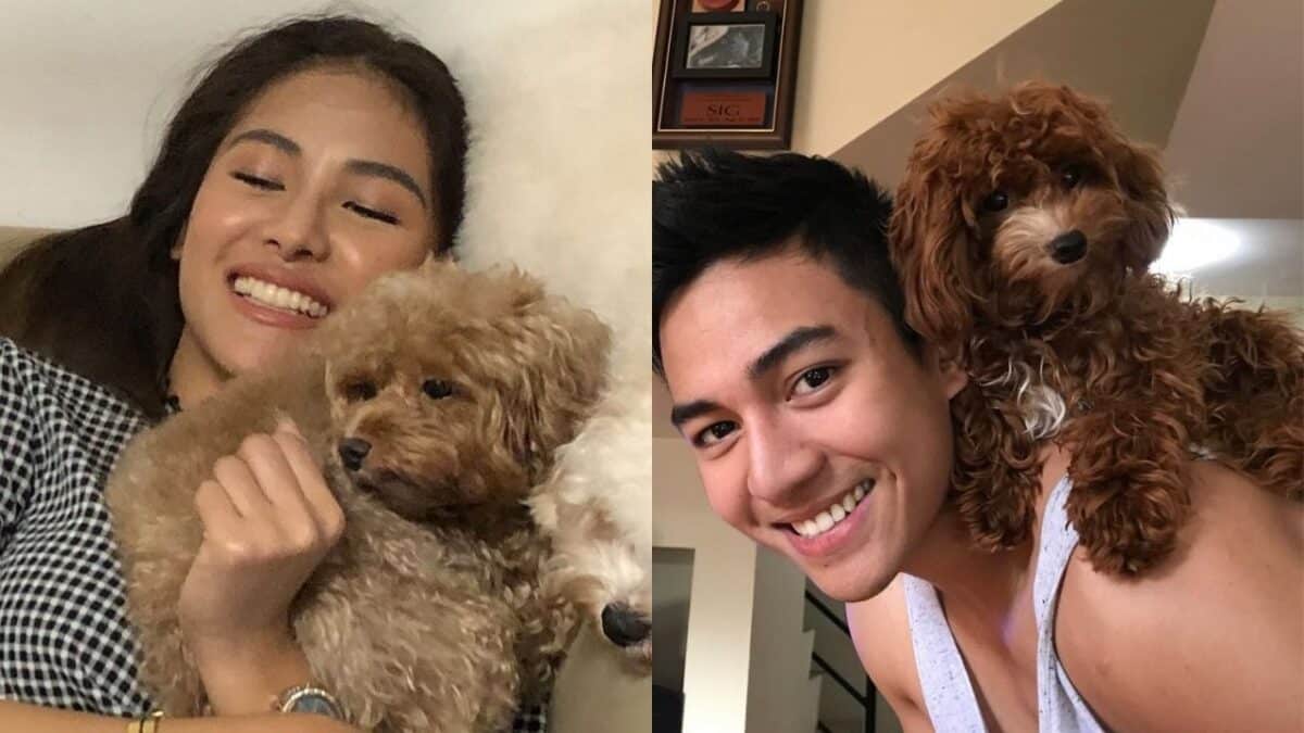 Sanya, Jak nagluluksa sa yumaong pet dog: ‘Ang sakit, sakit sobra!’