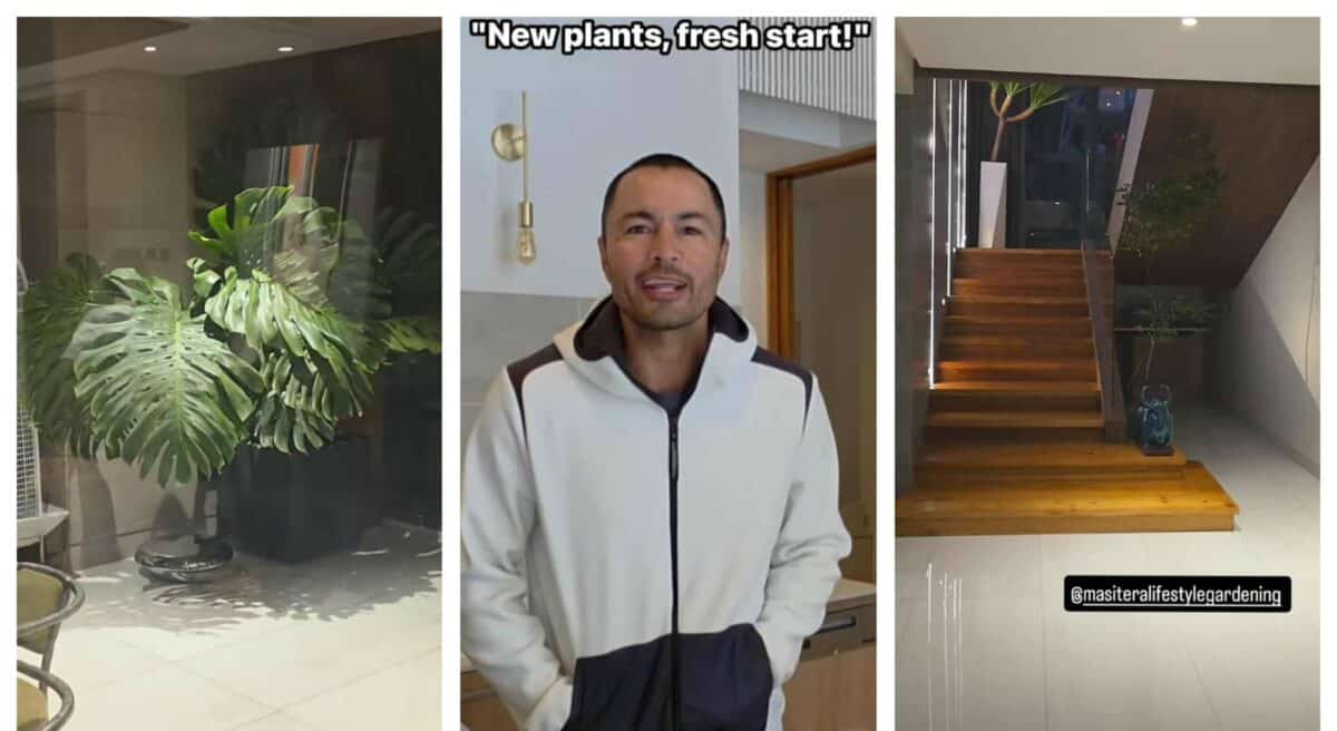 Derek Ramsay pinuno ng halaman ang bahay paglayas ni Ellen: 'Fresh start!'