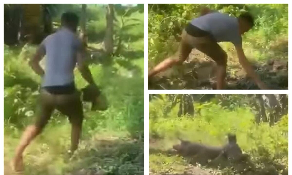 Binatilyo hulicam, nambembang ng baboy: Ano kuya, walang-wala na ba?