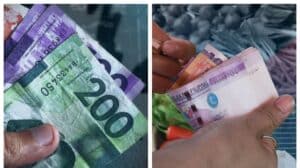 Featured bandera article