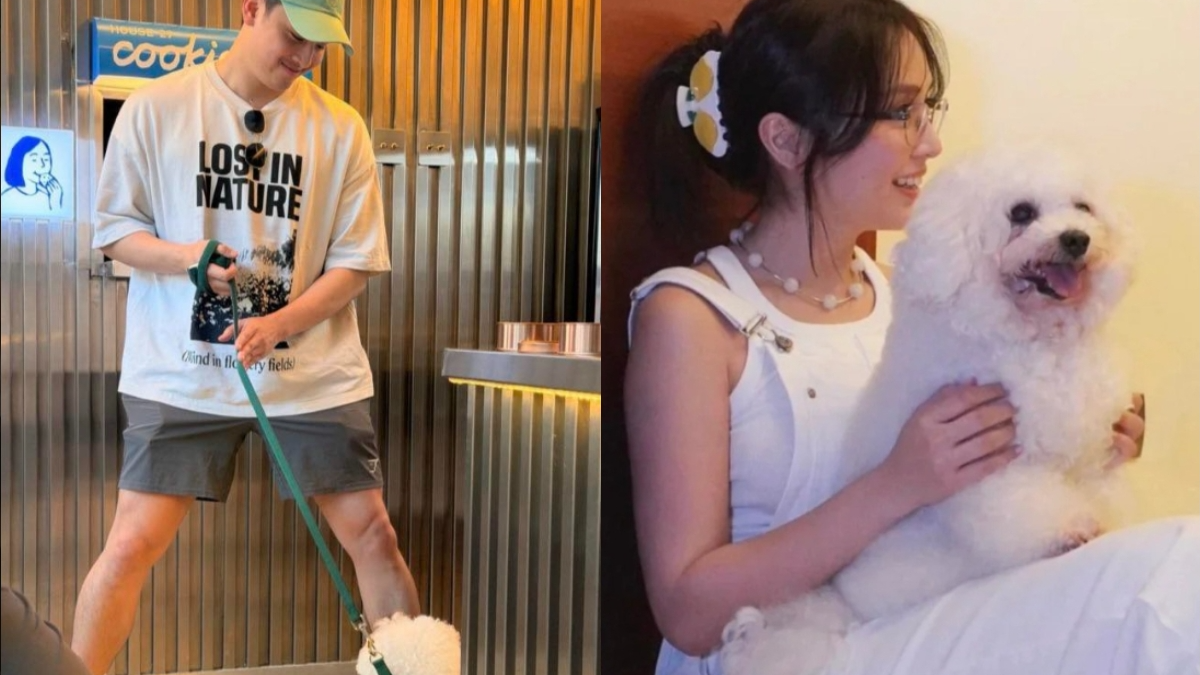 Mark Alcala flagged Kathryn Bernardo's dog: 'Hard launch ...
